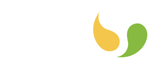 Alianza Team